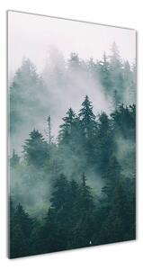 Tablou din Sticlă Ceață peste pădure