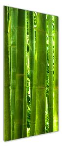 Tablou din Sticlă Bambus