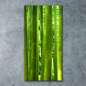 Tablou sticlă acrilică Bambus
