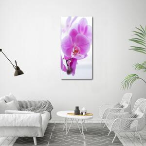Tablou din Sticlă orhidee roz