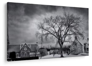 Tablou cu sat alb negru (90x60 cm)