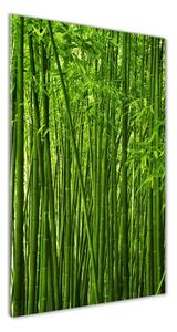 Tablou pe acril pădure de bambus