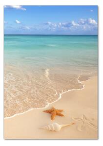 Tablou pe pe sticlă Starfish pe plajă
