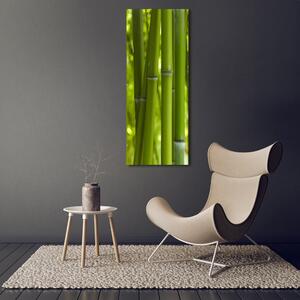 Tablou Printat Pe Sticlă pădure de bambus