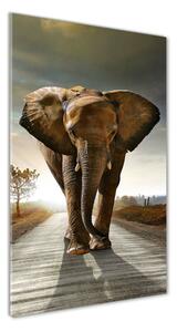 Tablou acrilic elefant de mers pe jos