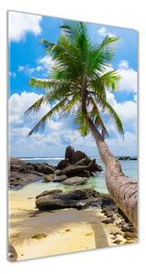 Fotografie imprimată pe sticlă plaja tropicala