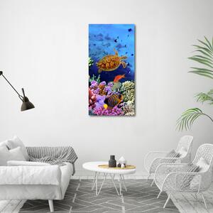Tablou canvas recif de corali