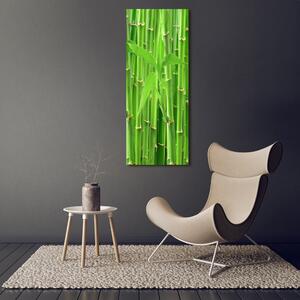 Imagine de sticlă pădure de bambus
