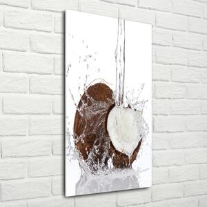Tablou sticlă nucă de cocos
