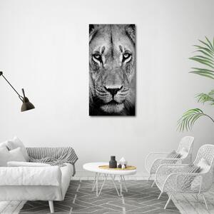 Tablou Printat Pe Sticlă Portret de un leu