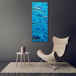 Imprimare tablou canvas pește Coral