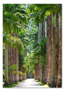 Fotografie imprimată pe sticlă palmieri