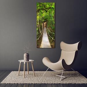 Imagine de sticlă Suspendarea pod în pădure