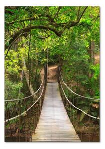 Imagine de sticlă Suspendarea pod în pădure