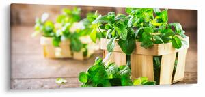 Tablou cu menta proaspătă (120x50 cm)