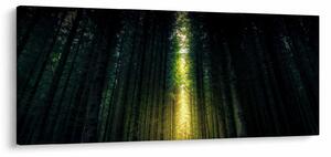 Tablou cu pădurea întunecată (120x50 cm)