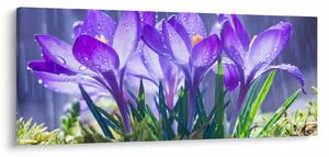 Tablou cuflori în ploaie (120x50 cm)
