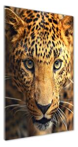 Tablou din Sticlă leopard