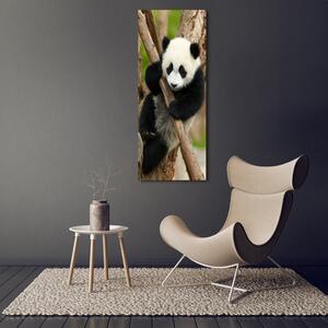 Fotografie imprimată pe sticlă Panda într-un copac