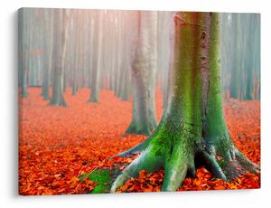 Tablou cu pomi (70x50 cm)