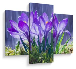 Tablou cuflori în ploaie (90x60 cm)