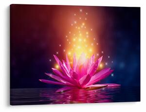 Tablou cu lotus pe apă (70x50 cm)
