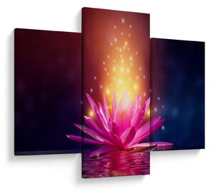Tablou cu lotus pe apă (90x60 cm)