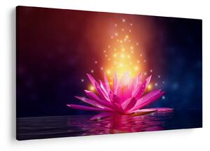 Tablou cu lotus pe apă (90x60 cm)