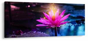 Tablou cu lotus pe apă (120x50 cm)