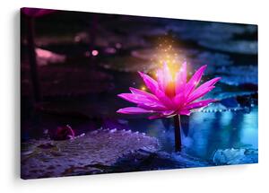 Tablou cu lotus pe apă (90x60 cm)