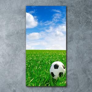 Tablou sticlă acrilică Fotbal pe pajiște