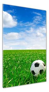 Tablou sticlă acrilică Fotbal pe pajiște