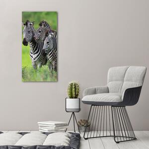 Tablou canvas trei zebre