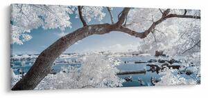 Tablou cu copac înzăpezit lângă apă (120x50 cm)