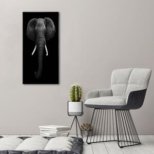 Tablou acrilic elefant african