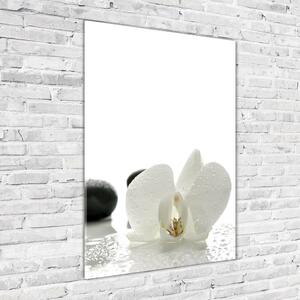 Tablou sticlă acrilică Orhideea și pietre