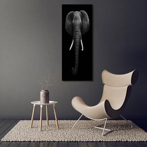 Tablou acrilic elefant african
