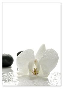 Tablou din Sticlă Orhideea și pietre
