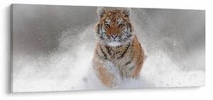 Tablou cutigru fugind prin zăpadă (120x50 cm)