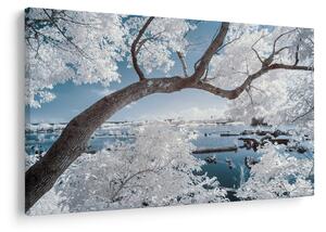 Tablou cu copac înzăpezit lângă apă (90x60 cm)