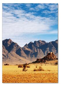 Tablou pe pe sticlă Desert Namibia