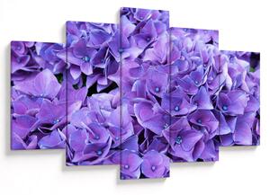 Tablou cu flori violete (150x105 cm)