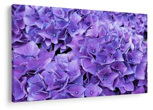 Tablou cu flori violete (90x60 cm)