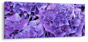 Tablou cu flori violete (120x50 cm)