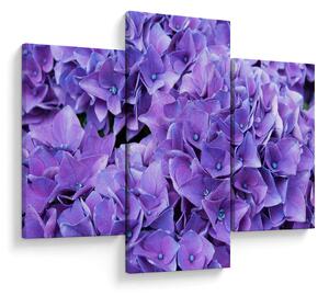 Tablou cu flori violete (90x60 cm)