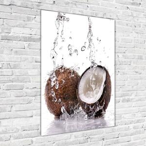 Imagine de sticlă nucă de cocos