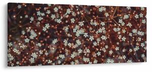 Tablou cu floare de nu mă uita (120x50 cm)