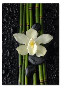 Tablou pe pe sticlă Orhidee și bambus