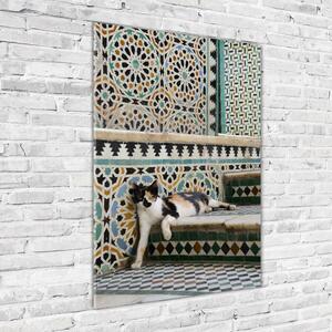 Tablou sticlă Cat în Maroc