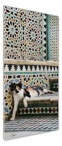 Tablou sticlă Cat în Maroc